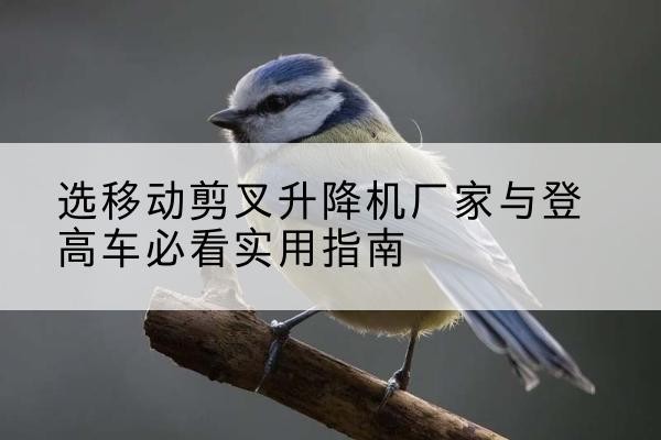 磐安电动升降机厂家-选移动剪叉升降机厂家与登高车必看实用指南