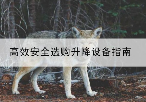 磐安升降货梯厂家推荐-*安全选购升降设备指南
