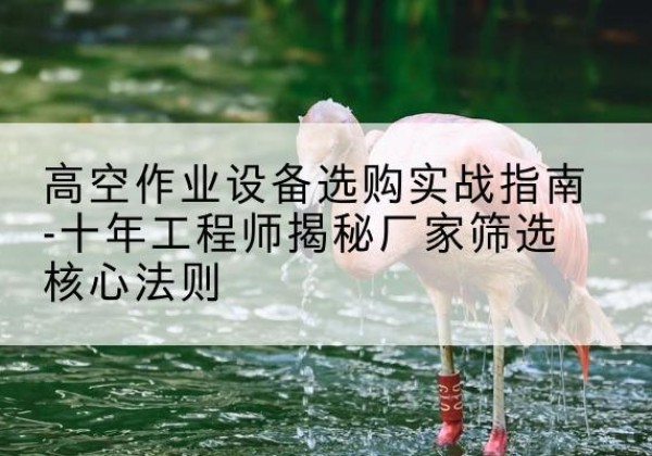 磐安剪叉式升降机厂家-高空作业设备选购实战指南-十年工程师揭秘厂家筛选核心法则