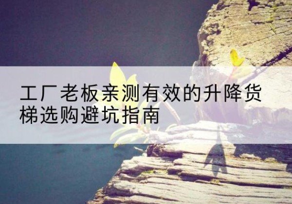 磐安升降货梯怎么选-工厂老板亲测有效的升降货梯选购避坑指南